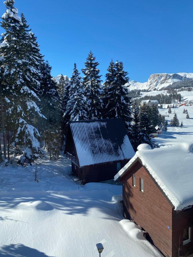 Zlatni Dar Apartamento Žabljak Exterior foto